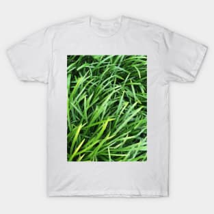 Grass T-Shirt